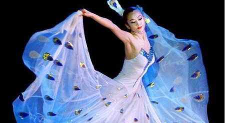 杨丽萍简历及个人资料简介(杨丽萍简历及个人资料简介)-图9 杨丽萍简历及个人资料简介(杨丽萍简历及个人资料简介)-图9