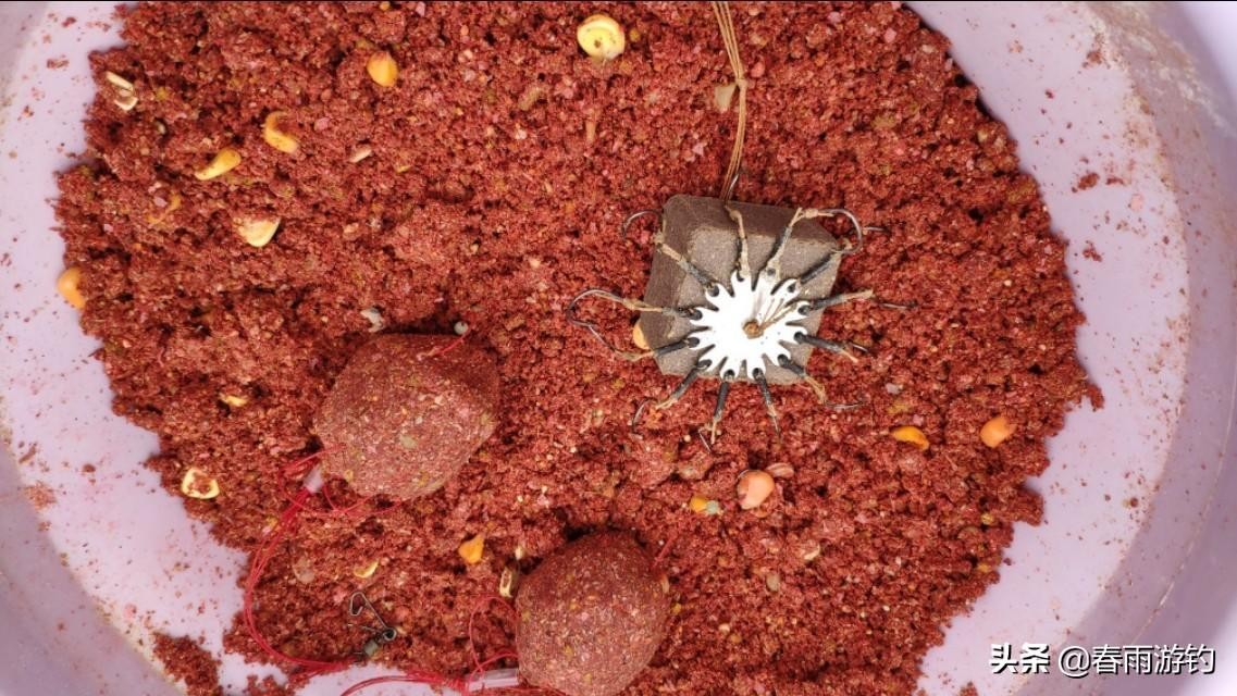 一天钓黄尾的最佳时间(黄尾什么时候钓最合适)