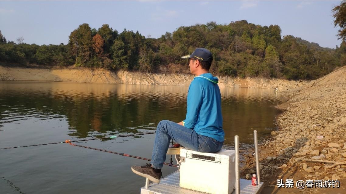 一天钓黄尾的最佳时间(黄尾什么时候钓最合适)