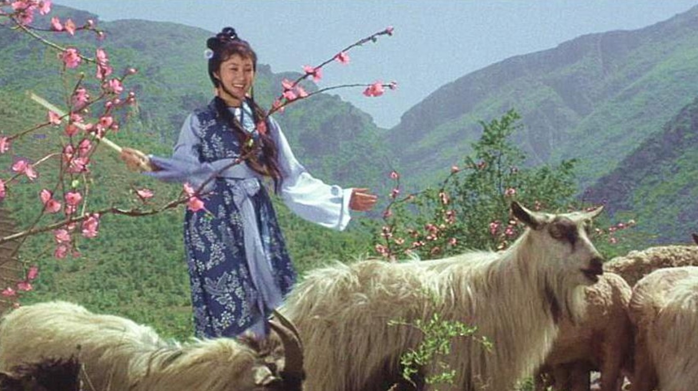 郑绪岚是哪里人（郑绪岚简历及个人资料简介 ）