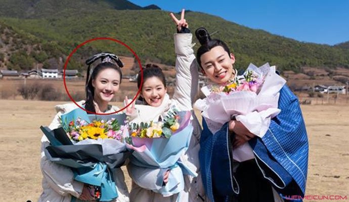 刘露有什么电视剧