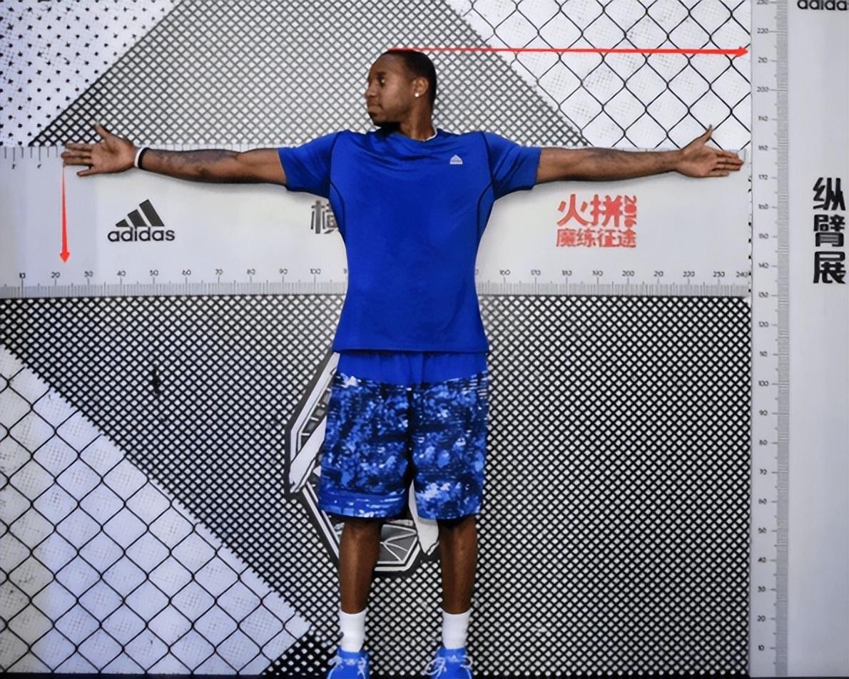 nba麦迪身高有多高（麦迪真实身高多少臂展多少）