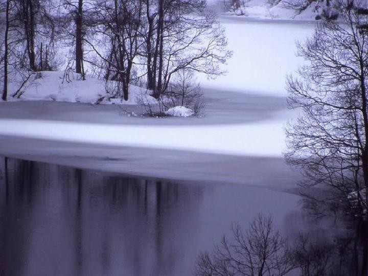 湖心亭看雪(《湖心亭看雪》赏析)