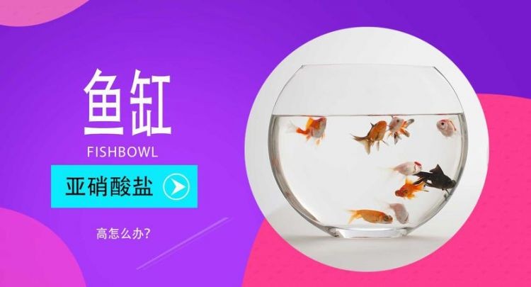 养鱼的盐水怎么配