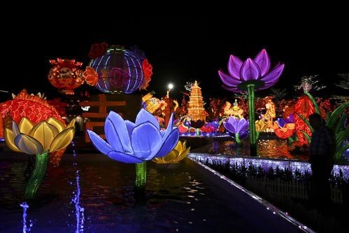 春节赏花灯的寓意(春节赏花灯的由来)-第1张图片-