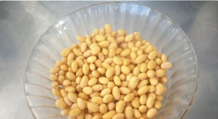 黄豆泡多久可以炒,黄豆烧鸭子黄豆要泡多久才能吃图5