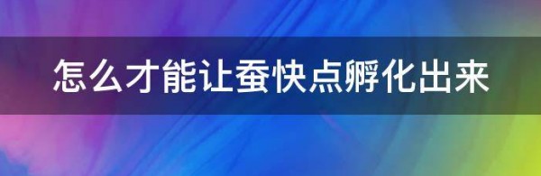 怎么孵化蚕,蚕籽怎么孵出蚕宝宝视频图9