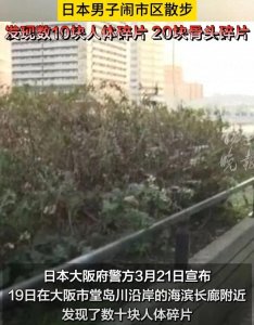 ​死亡拼图：大阪百日三尸案撕裂的文明表皮