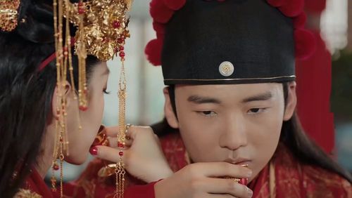 宁毅娶了几个，小说中宁毅娶了几个(小说中宁毅有多少老婆)