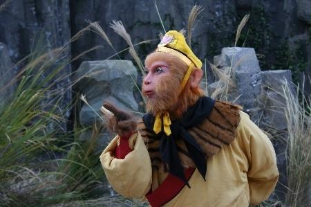 西游记，为什么说孙悟空，不是女娲石演变的