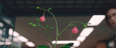 ​返回韩国拍新戏《小小姐们》秋瓷炫新剧开播就下线