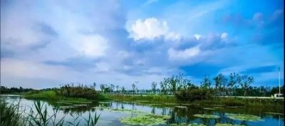 ​人民的名义题材原型（人民的名义林城开发区原型）