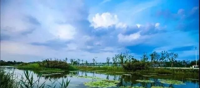 人民的名义题材原型（人民的名义林城开发区原型）