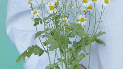 ​甜宠文控 | 主角残疾文（超感人）