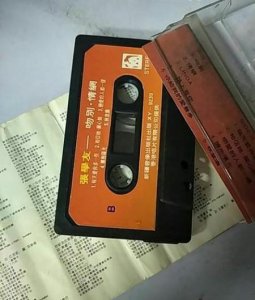 ​张学友的情网歌词含义(在坠入爱河之前什么歌)