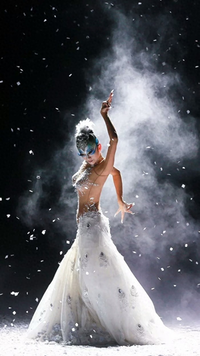 著名舞蹈家杨丽萍