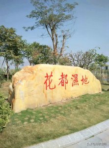 ​风景这边独好—走进花都湖国家湿地公园