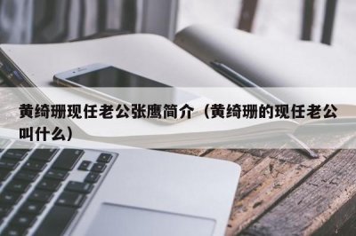 ​黄绮珊现任老公张鹰简介（黄绮珊的现任老公叫什么）