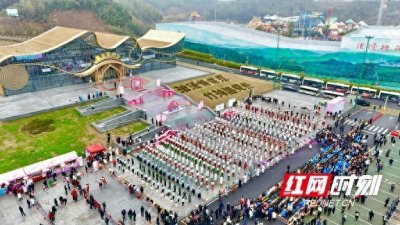 ​三月桃江文旅盛宴：9+7矩阵引客破百万