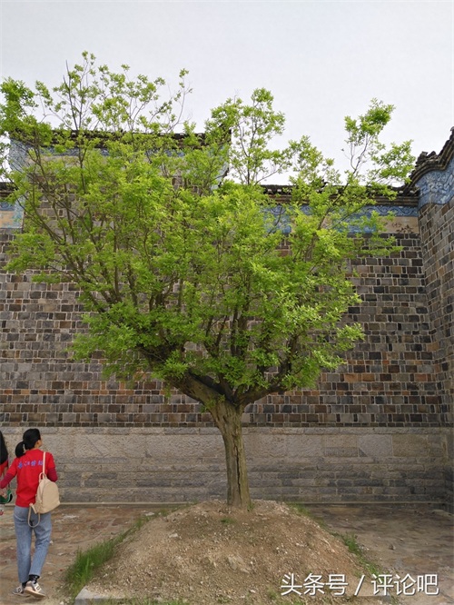 真不敢相信赵文卓的《铁血红安》居然是在这里拍的