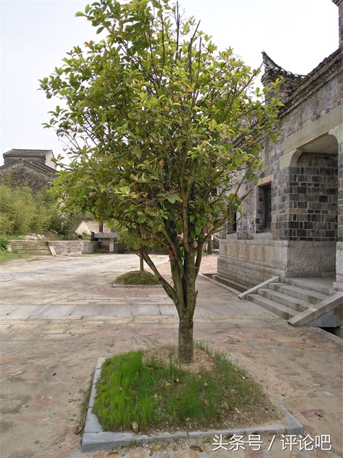 真不敢相信赵文卓的《铁血红安》居然是在这里拍的