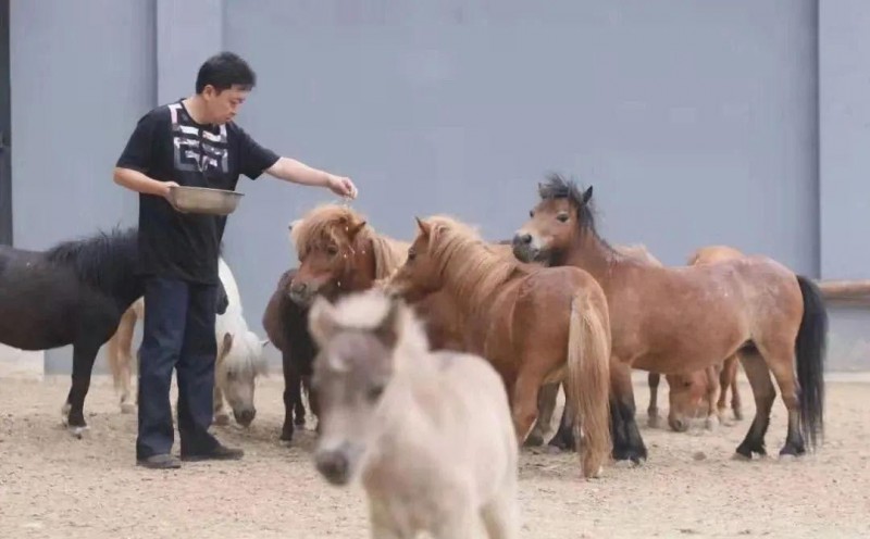 于谦个人简介(于谦副业说相声玩儿才是主业)