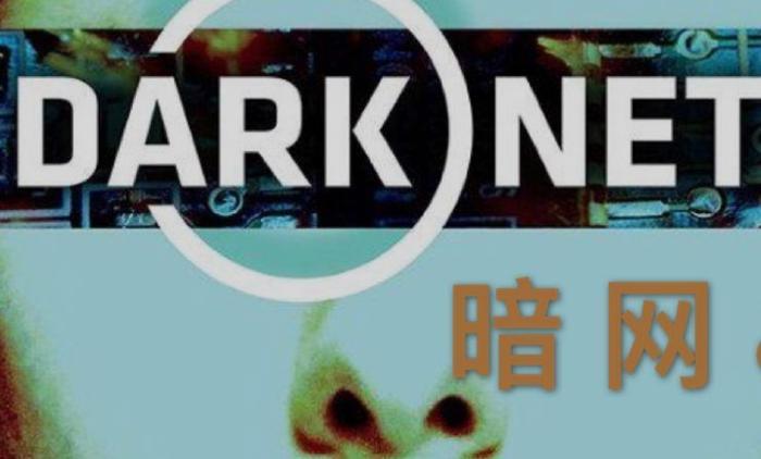 操纵暗网、侵犯上百名儿童，又一跨国恋童癖团伙被端！50多名儿童获救