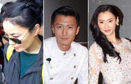 张柏芝与谢霆锋离婚真相