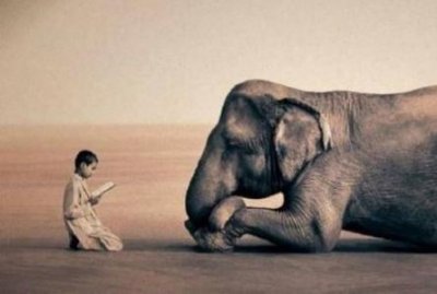 ​史上最贵的翡翠原石-史上最贵的翡翠原石7月