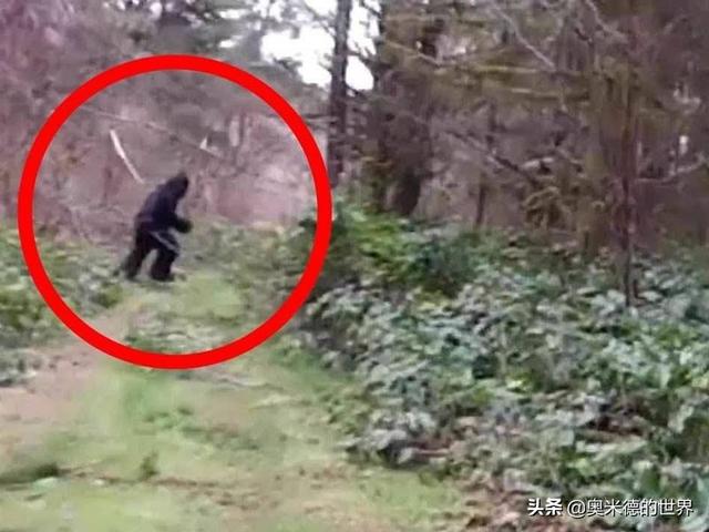 湖北荆楚文化介绍(关于荆楚之地湖北)(11)