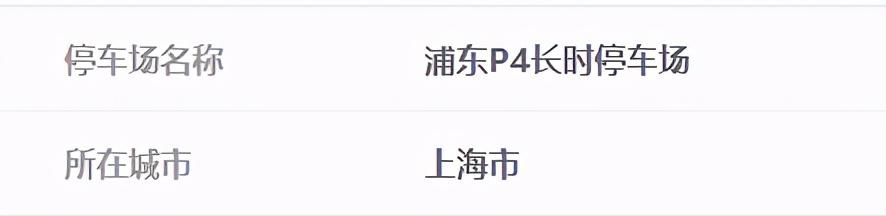 浦东机场t2停车最佳方法(上海浦东机场P4停车库收费标准)(14)