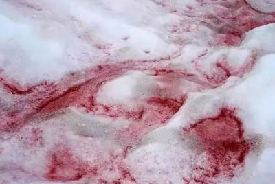 ​西藏10大未解之谜：看到第6个吓尿了