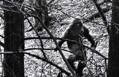 ​世界销量更大红茶：排行榜及排名全解析