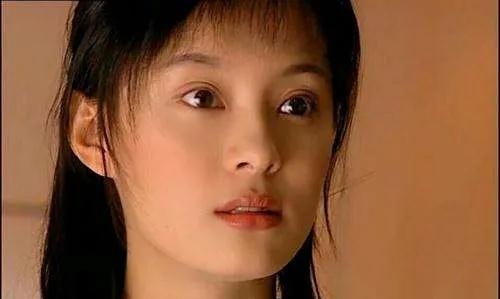 孙俪主演的电视剧(孙俪的电视剧全集免费) 孙俪 第2张