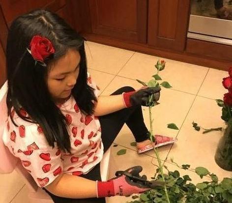 李湘晒出自己一家的豪宅:家里有一个大花园,装修豪华又大气