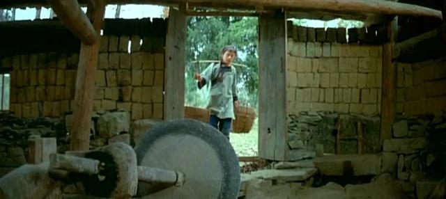 衡阳母女求女婿（结果却与家中长工生下孩子）(25)