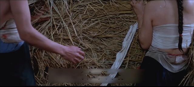 衡阳母女求女婿（结果却与家中长工生下孩子）(17)