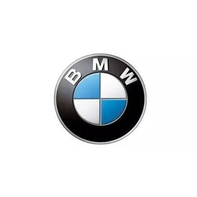 德国十大品牌汽车排行（德国十大汽车品牌排行榜TOP10）(4)