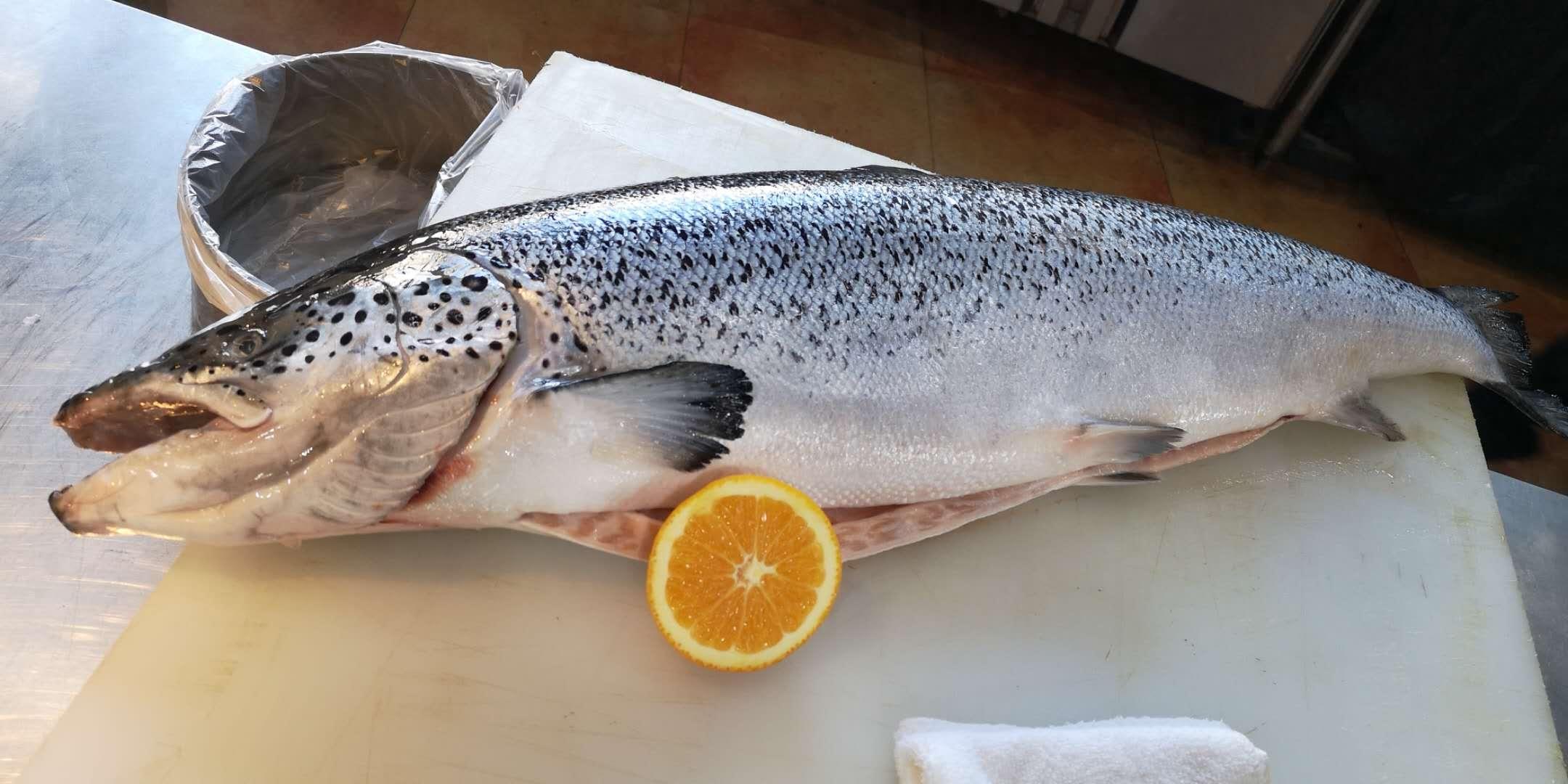 天津这家海鲜市场鲜活食材来自世界各地，有些品种真不多见