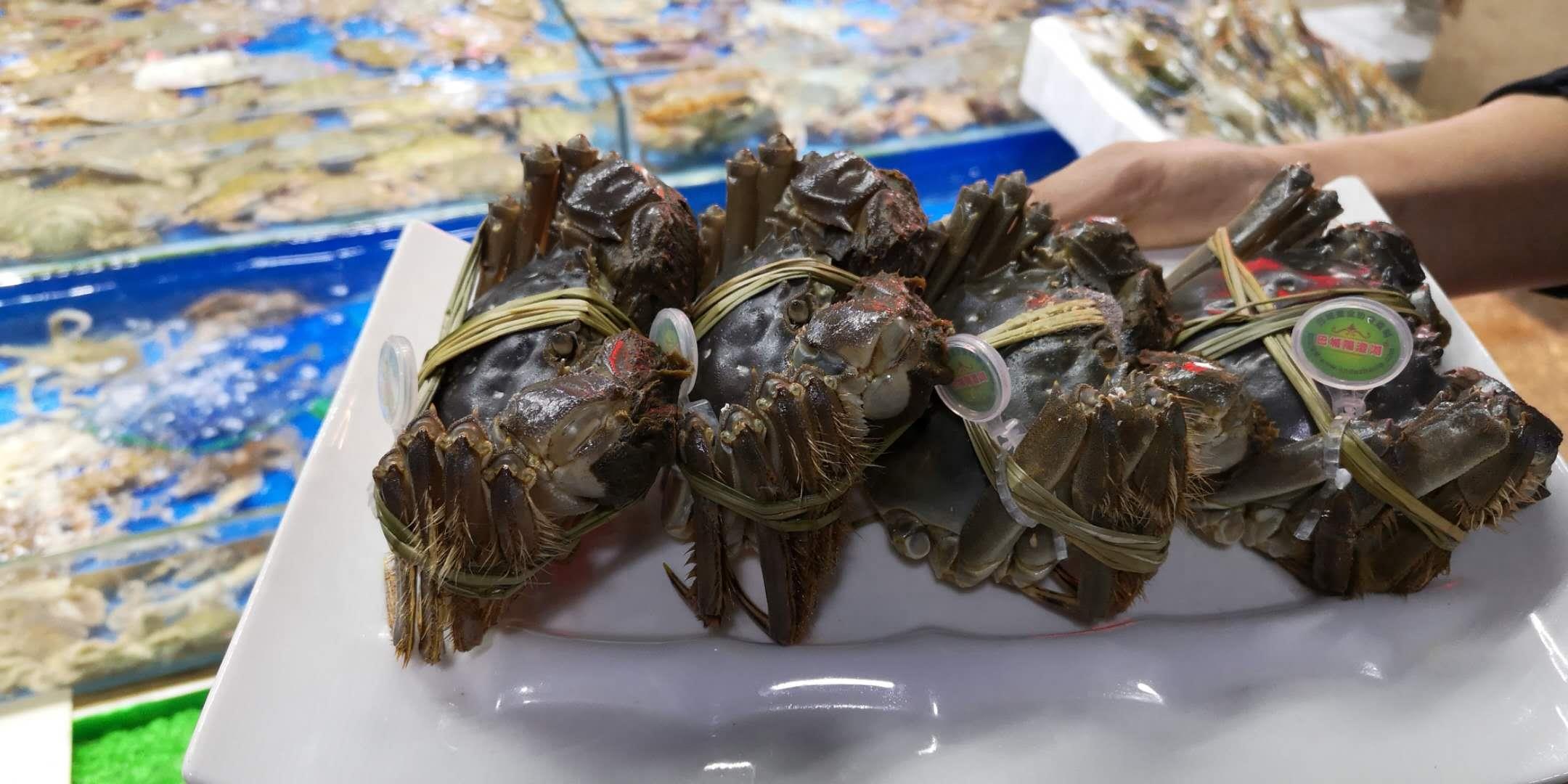 天津这家海鲜市场鲜活食材来自世界各地，有些品种真不多见