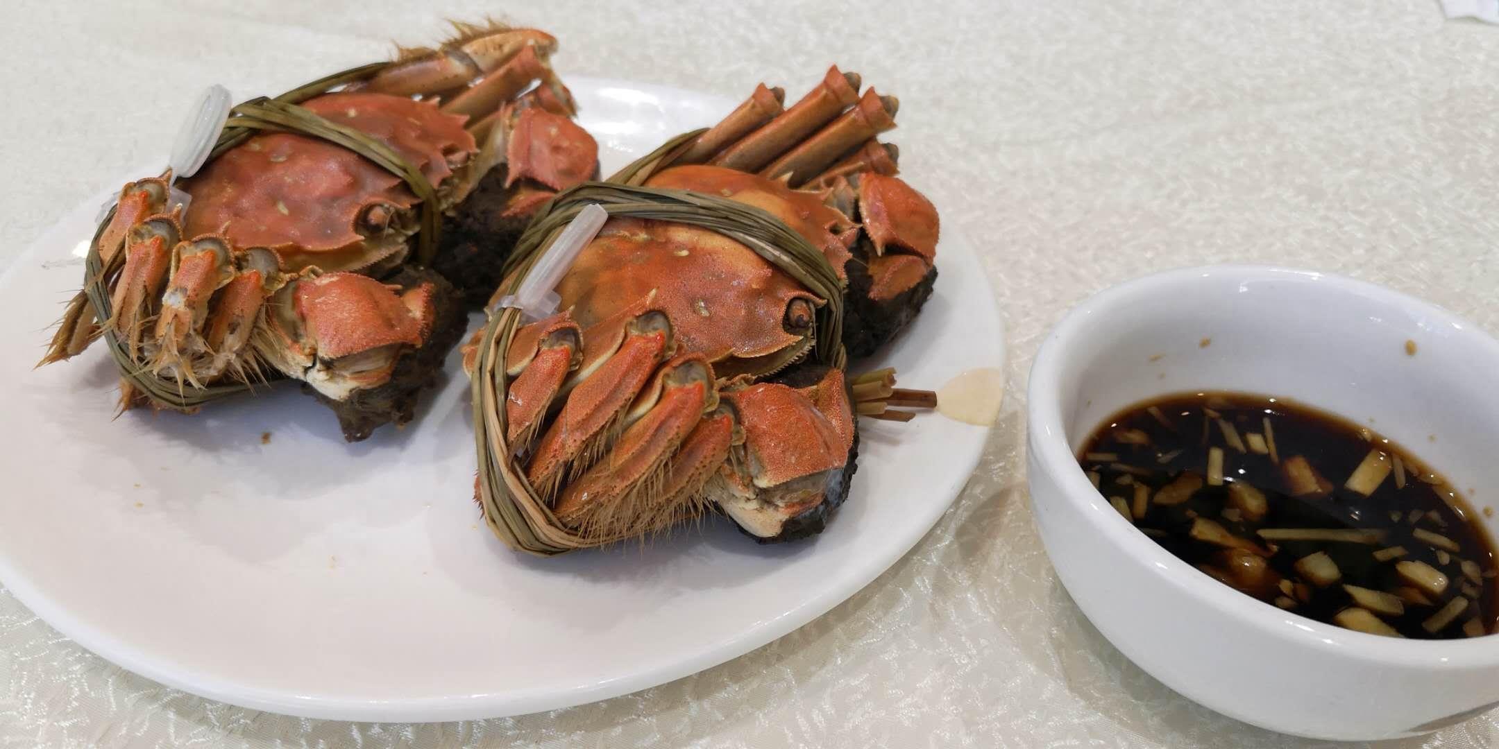 天津这家海鲜市场鲜活食材来自世界各地，有些品种真不多见
