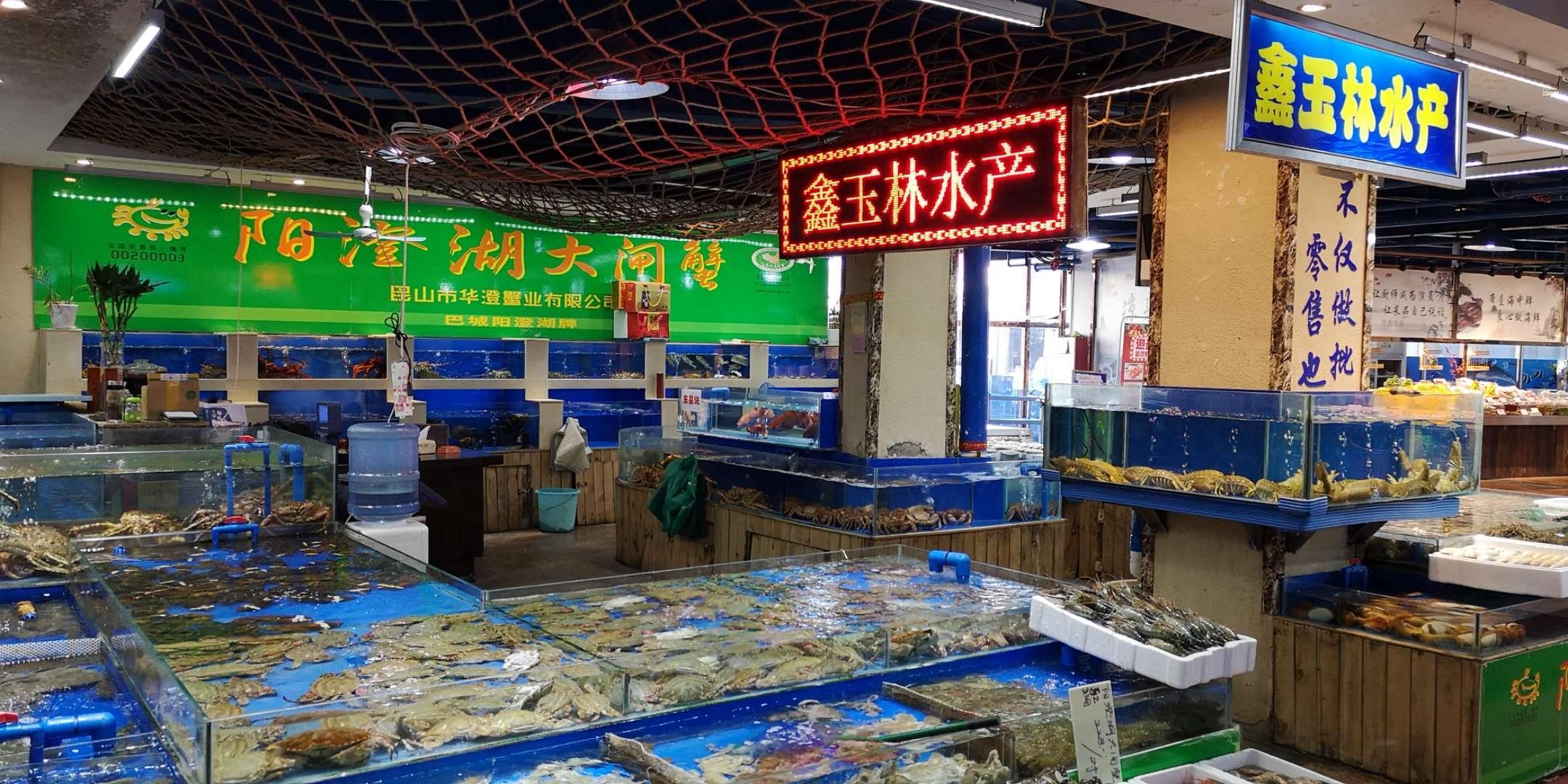 天津这家海鲜市场鲜活食材来自世界各地，有些品种真不多见