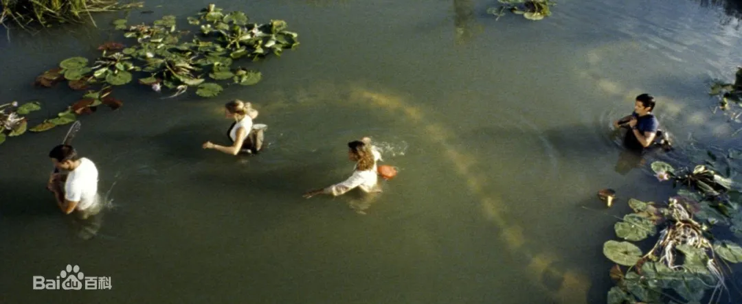 最大的蛇森蚺怎么读(动物界一妻多夫的先行者森蚺)