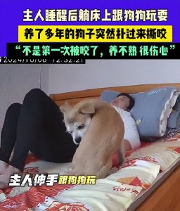 ​揪心，女子午休遭自家养了多年的宠物狗疯狂撕咬，网友炸锅。