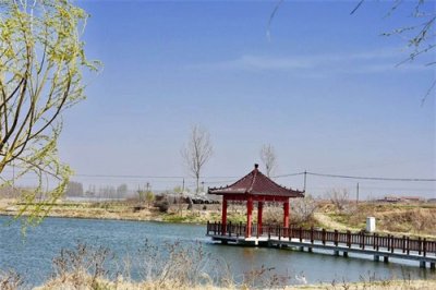 ​丁字湾畔，大美金口