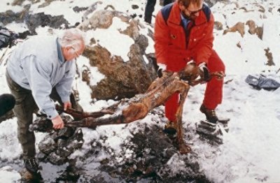 ​接触过5300年前冰人的专家陆续死亡，难道真的存在死亡诅咒？