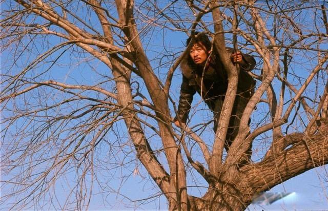 影视hello树先生深度解析 情节并不复杂都是假象 1