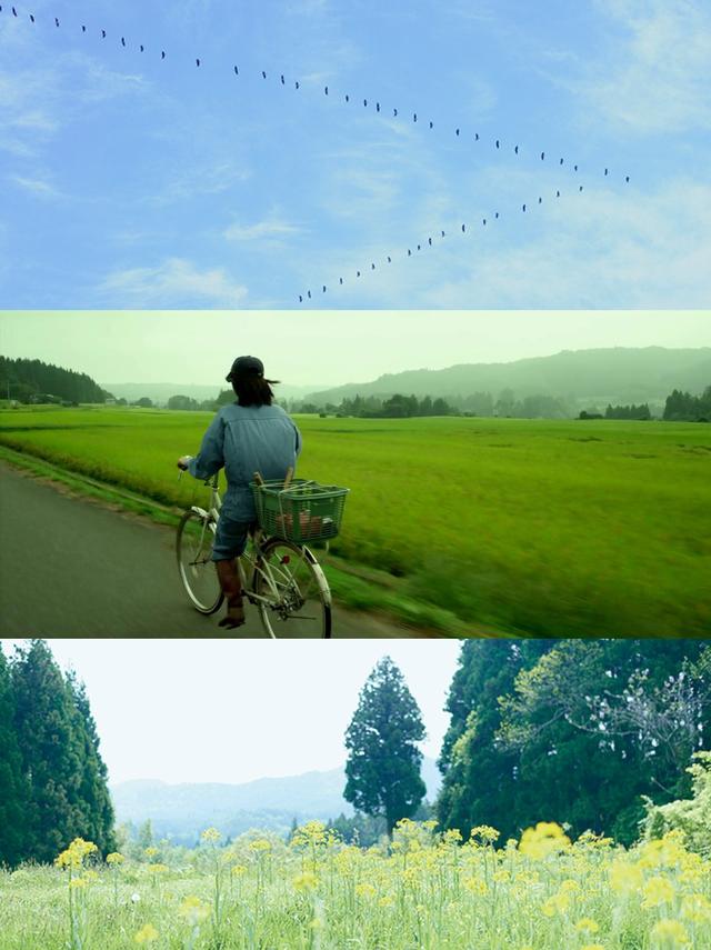 有什么好看的电影推荐一下(8部高颜值超养眼的经典佳作)(4)