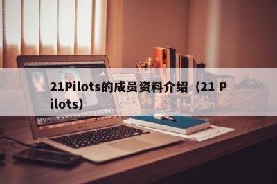 ​21Pilots的成员资料介绍（21 Pilots）