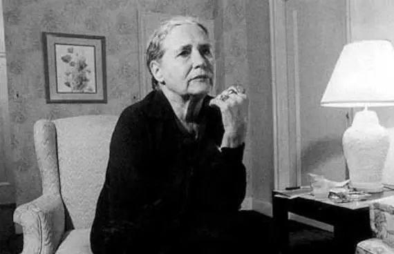 王小波最好的作品推荐（那些备受王小波推崇的外国作家）(2)